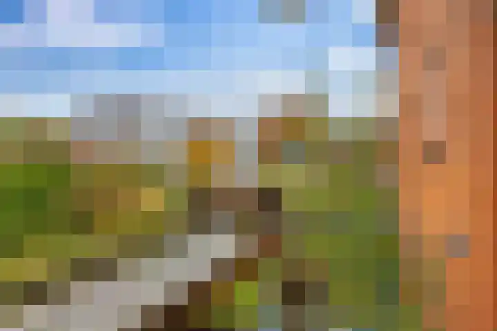 Zaagmuldersweg 14 Groningen thumbnail 15