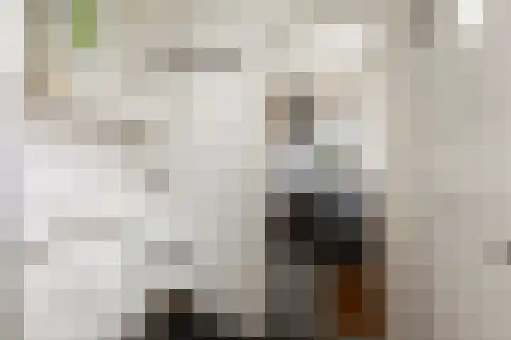 Zaagmuldersweg 14 Groningen thumbnail 16
