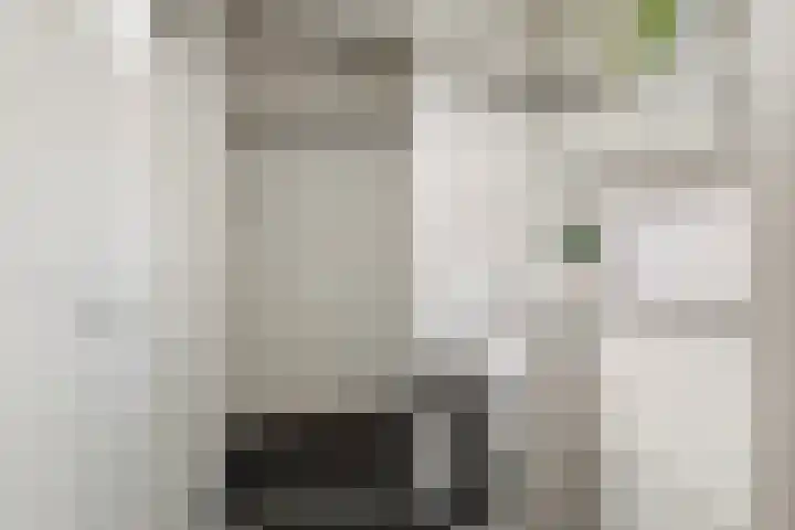 Zaagmuldersweg 14 Groningen thumbnail 17