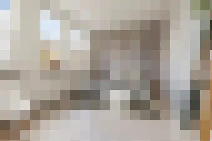 Zaagmuldersweg 14 Groningen thumbnail 21