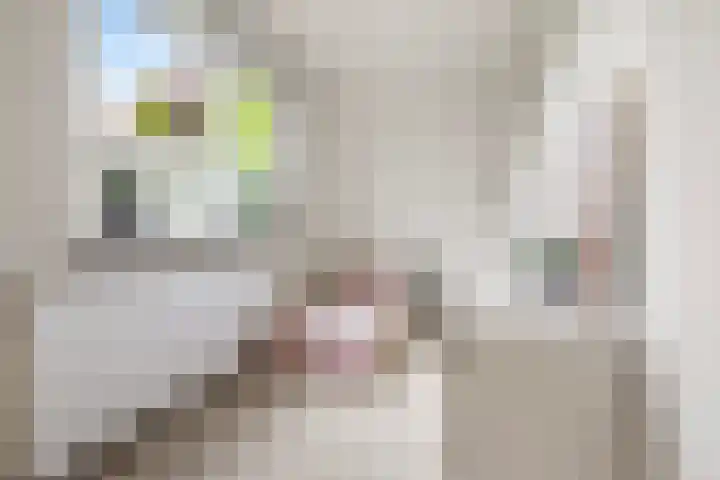 Zaagmuldersweg 14 Groningen thumbnail 22