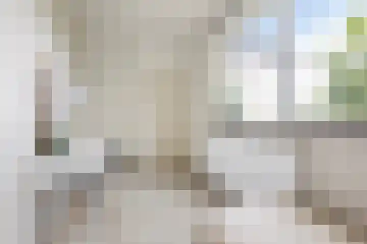 Zaagmuldersweg 14 Groningen thumbnail 23