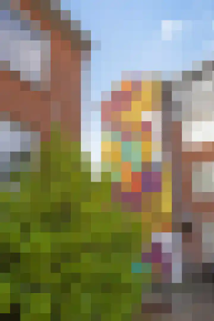 Zaagmuldersweg 14 Groningen thumbnail 26