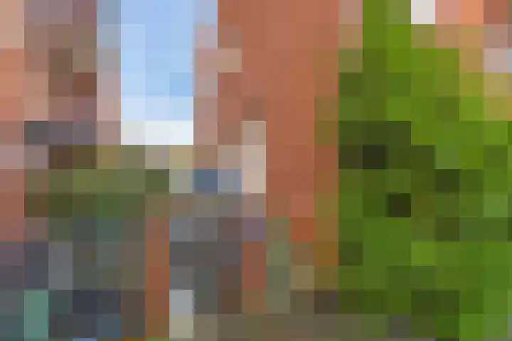 Zaagmuldersweg 14 Groningen thumbnail 27