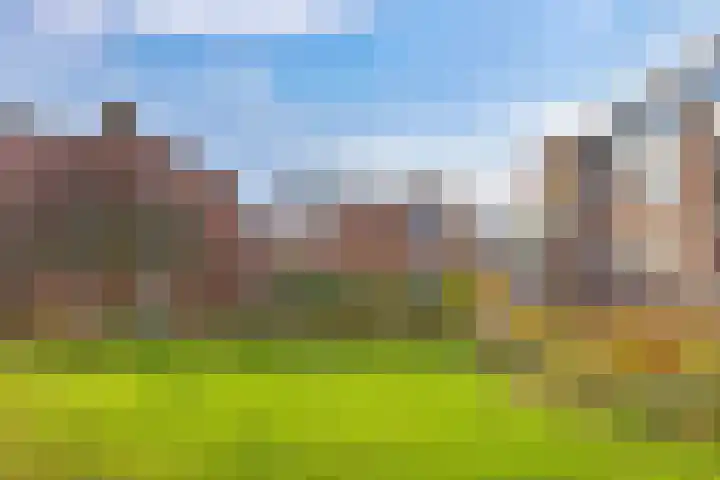 Zaagmuldersweg 14 Groningen thumbnail 28