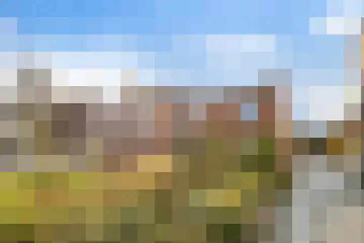 Zaagmuldersweg 14 Groningen thumbnail 29