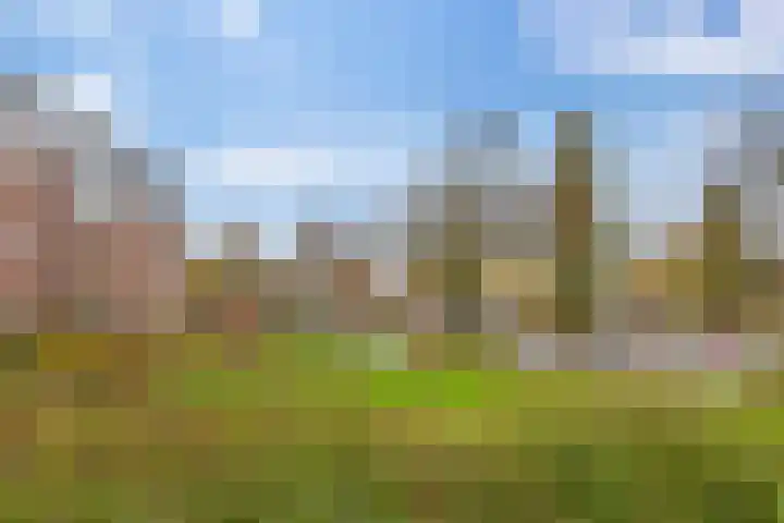 Zaagmuldersweg 14 Groningen thumbnail 31