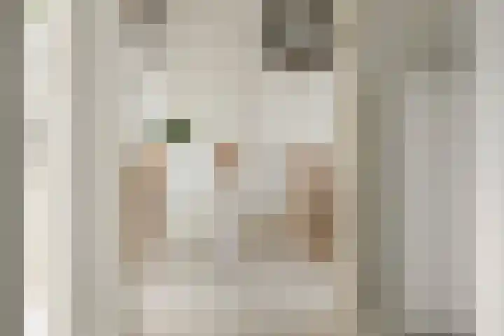 Zaagmuldersweg 14 Groningen thumbnail 5
