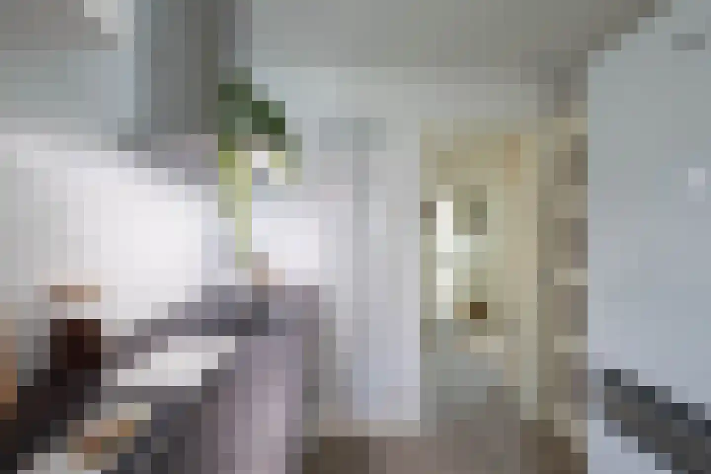 Zaagmuldersweg 2 Groningen thumbnail 21
