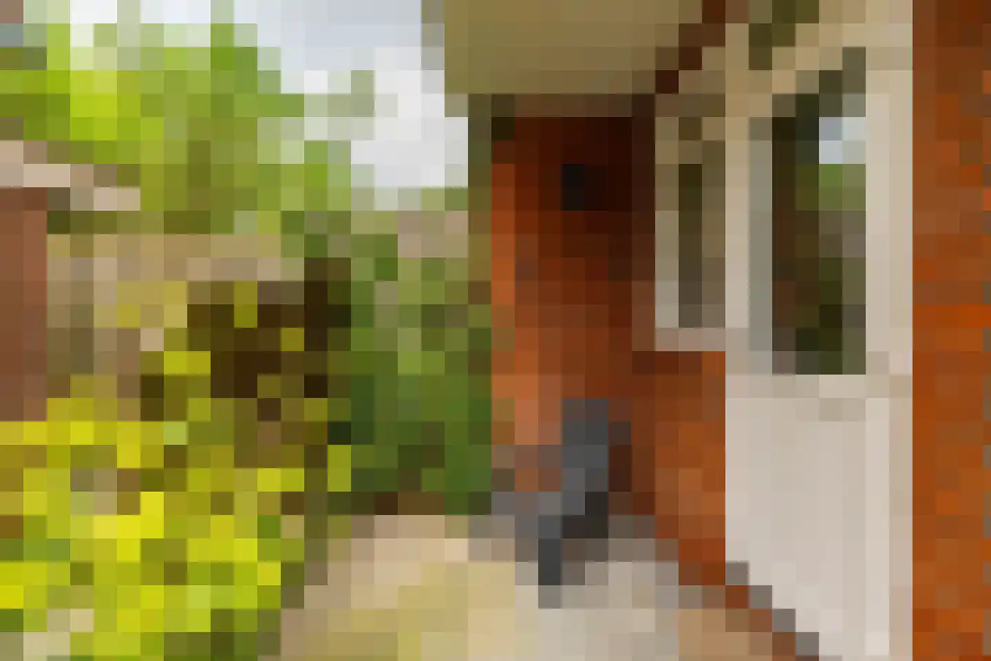 Zaagmuldersweg 2 Groningen thumbnail 35