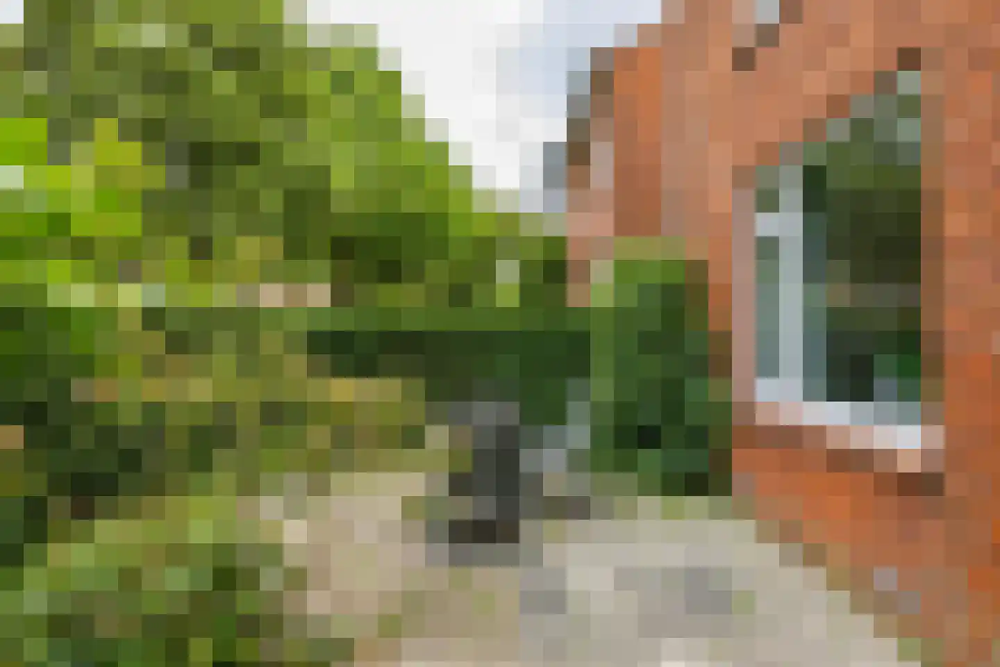 Zaagmuldersweg 2 Groningen thumbnail 36