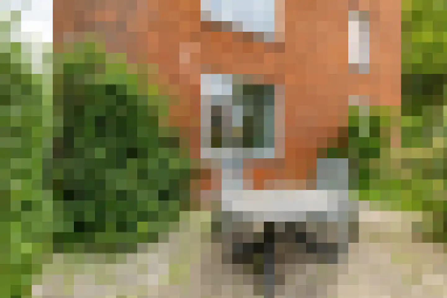 Zaagmuldersweg 2 Groningen thumbnail 37
