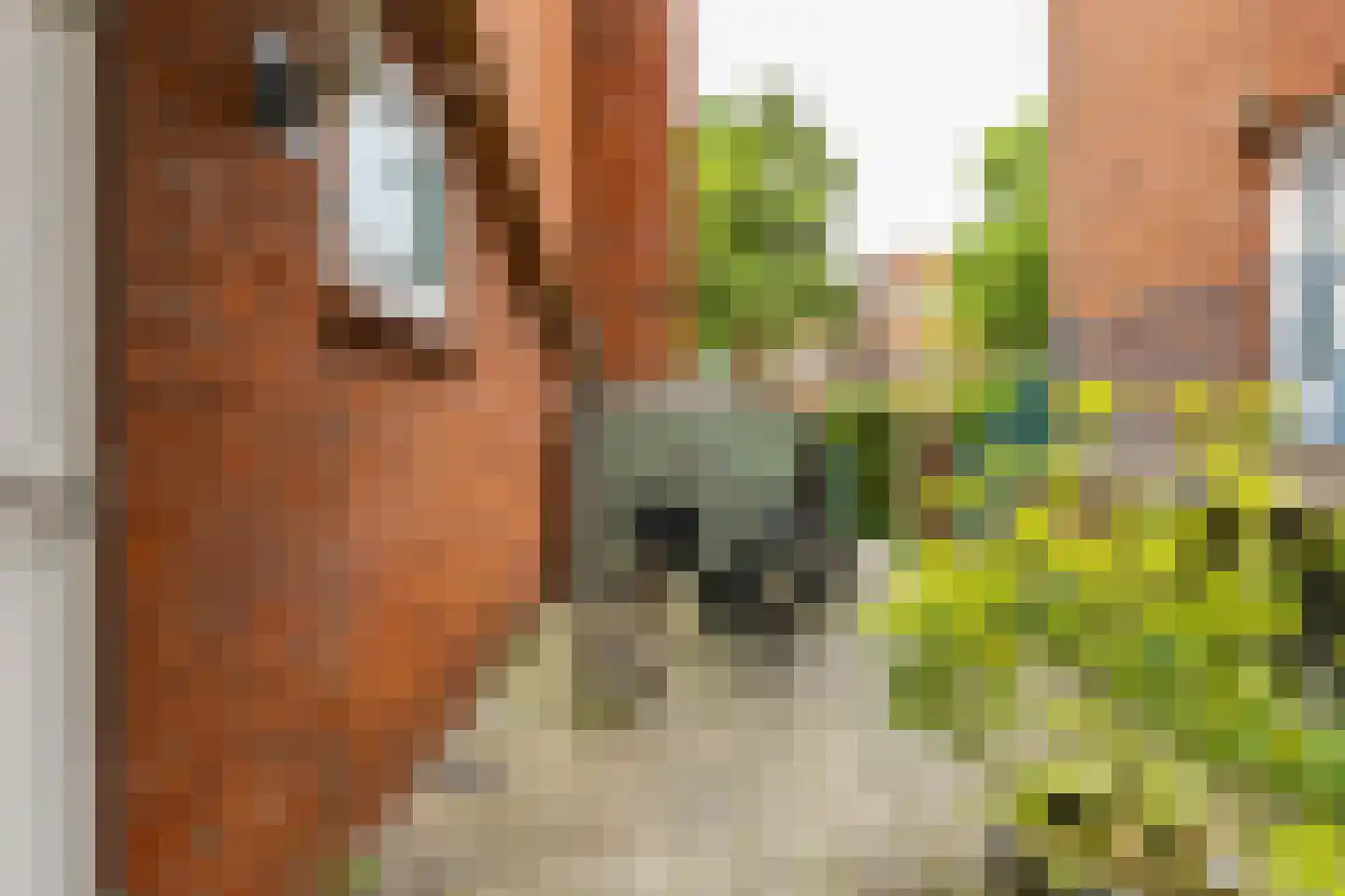 Zaagmuldersweg 2 Groningen thumbnail 38