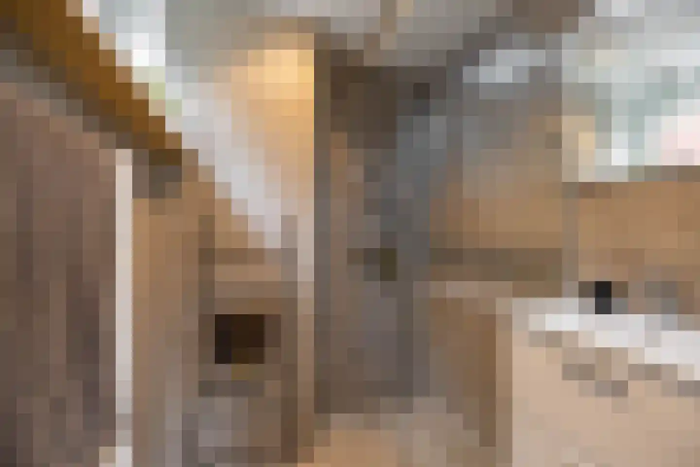 Zaagmuldersweg 2 Groningen thumbnail 4