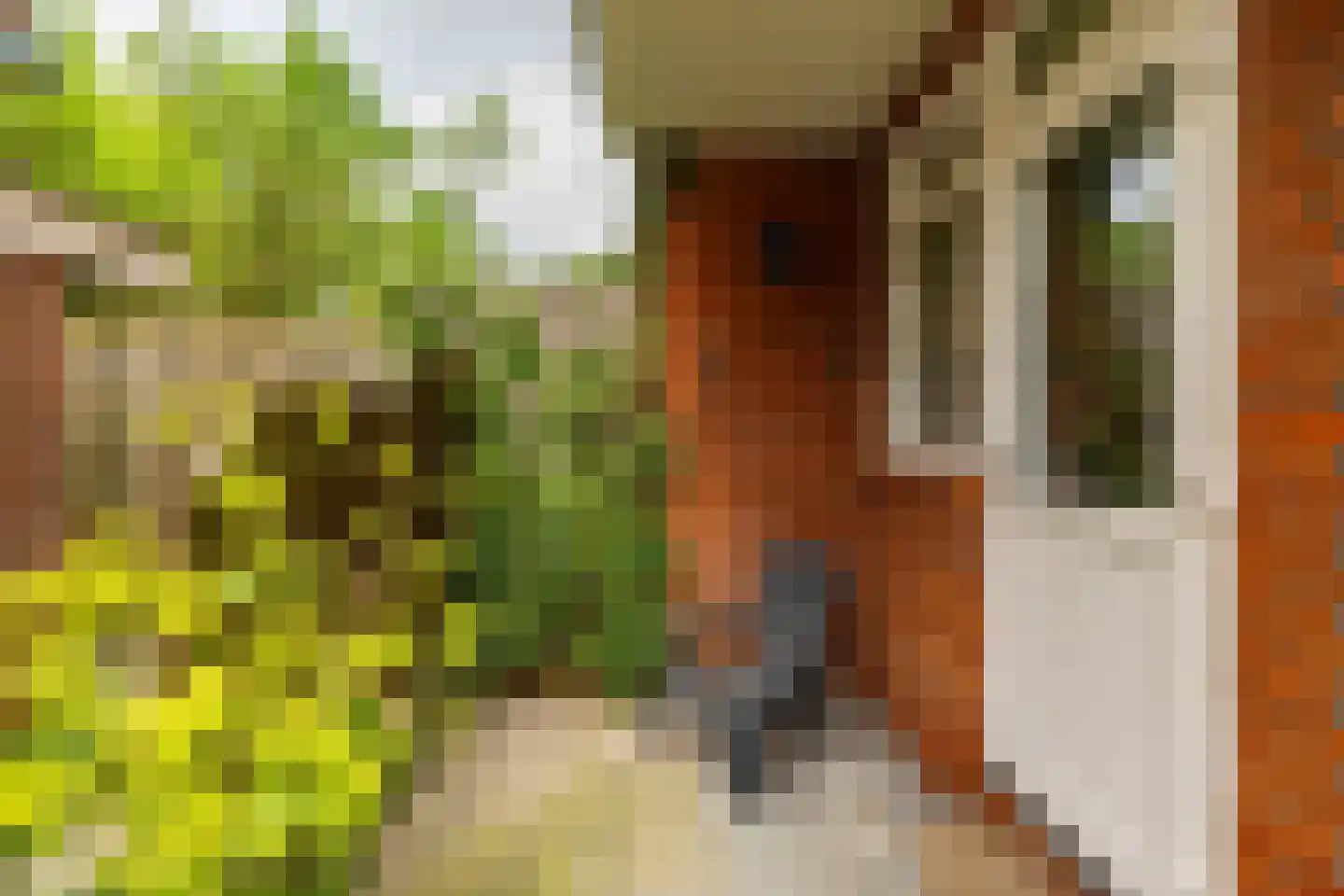 Zaagmuldersweg 2 Groningen thumbnail 5