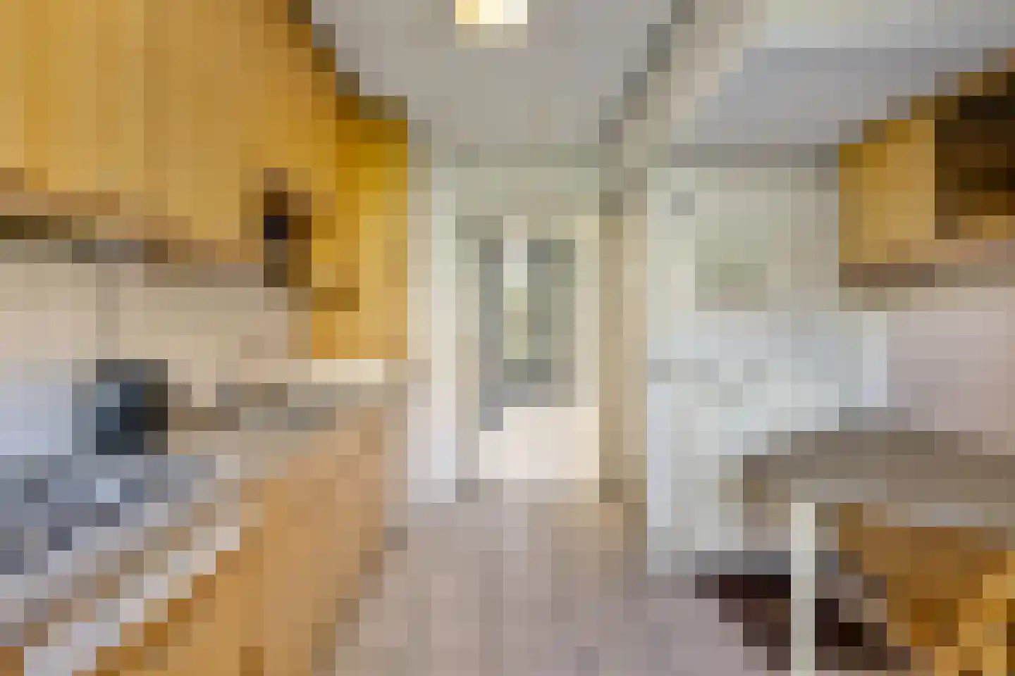 Zaagmuldersweg 4 a Groningen thumbnail 27