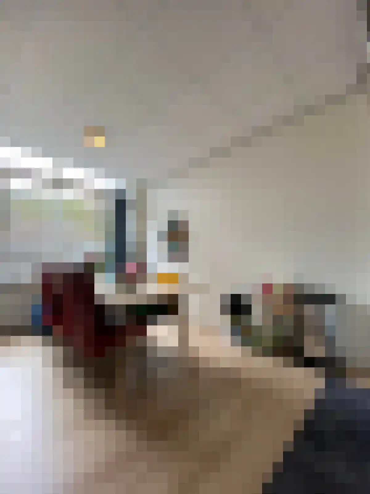 Zaagmuldersweg 530 Groningen thumbnail 4