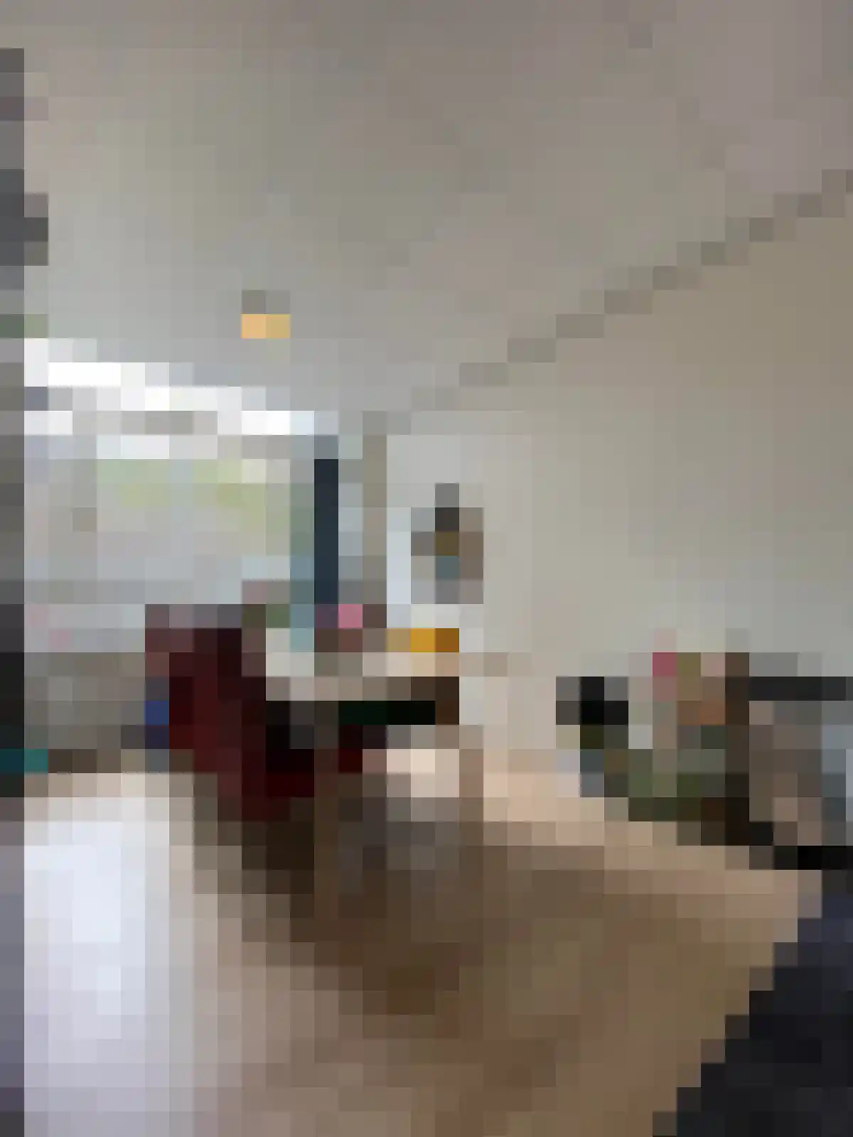 Zaagmuldersweg 530 Groningen thumbnail 5