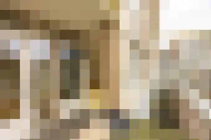 Zaagmuldersweg 544 Groningen thumbnail 32