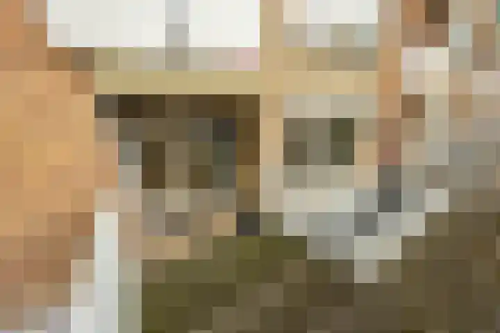 Zaagmuldersweg 544 Groningen thumbnail 34