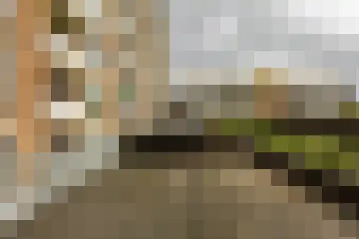 Zaagmuldersweg 544 Groningen thumbnail 35