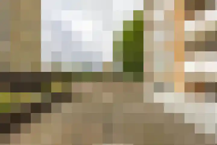 Zaagmuldersweg 544 Groningen thumbnail 37
