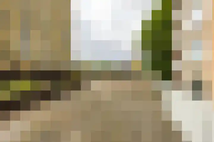 Zaagmuldersweg 544 Groningen thumbnail 38