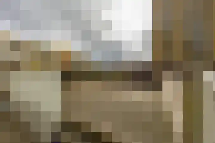 Zaagmuldersweg 544 Groningen thumbnail 4
