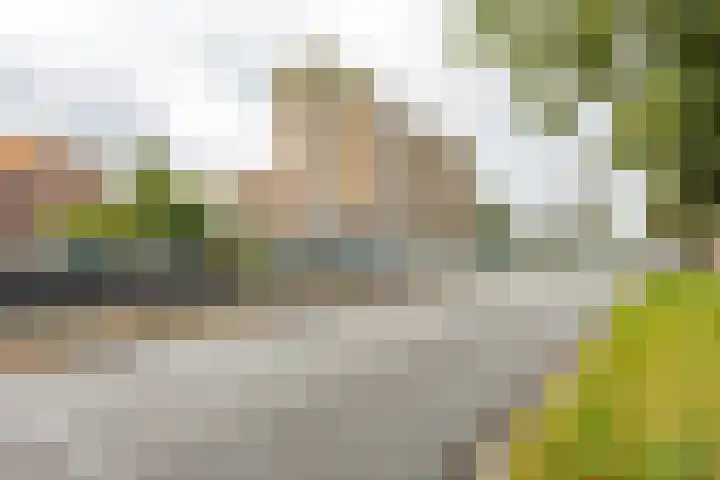 Zaagmuldersweg 544 Groningen thumbnail 40