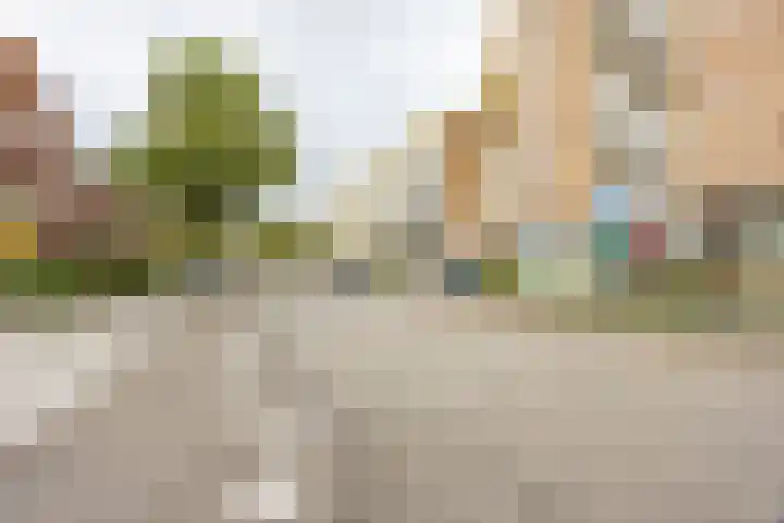 Zaagmuldersweg 544 Groningen thumbnail 43