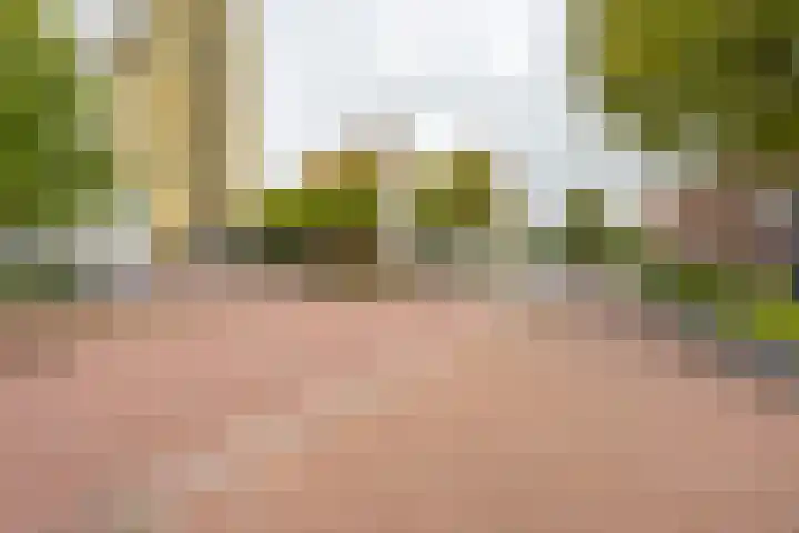 Zaagmuldersweg 544 Groningen thumbnail 5