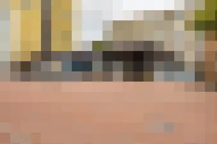 Zaagmuldersweg 544 Groningen thumbnail 6