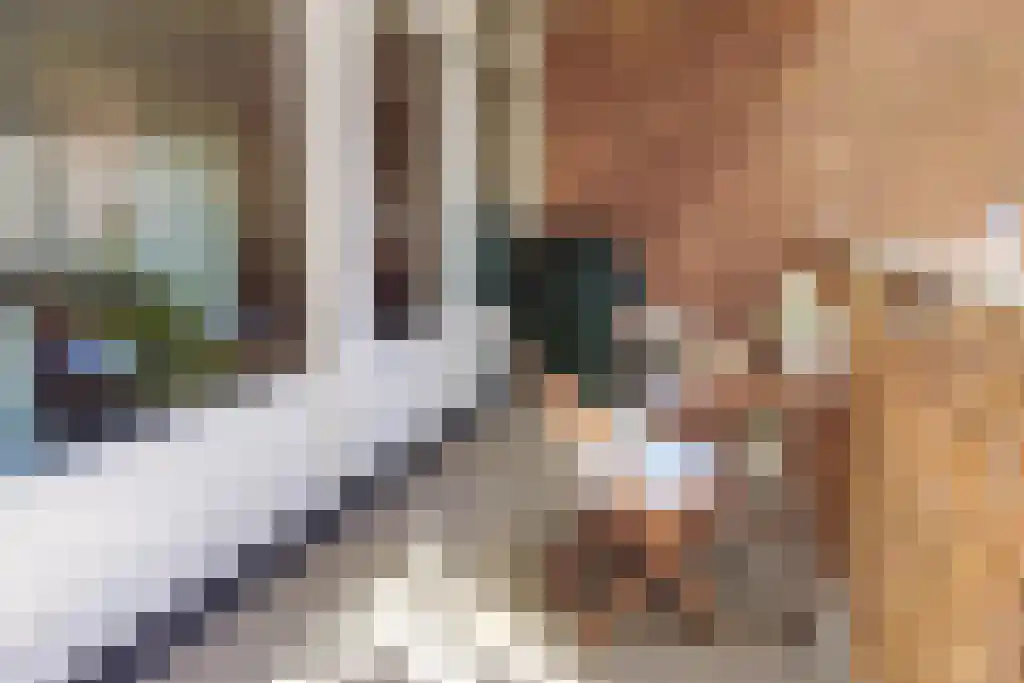Zaagmuldersweg 548 Groningen thumbnail 6
