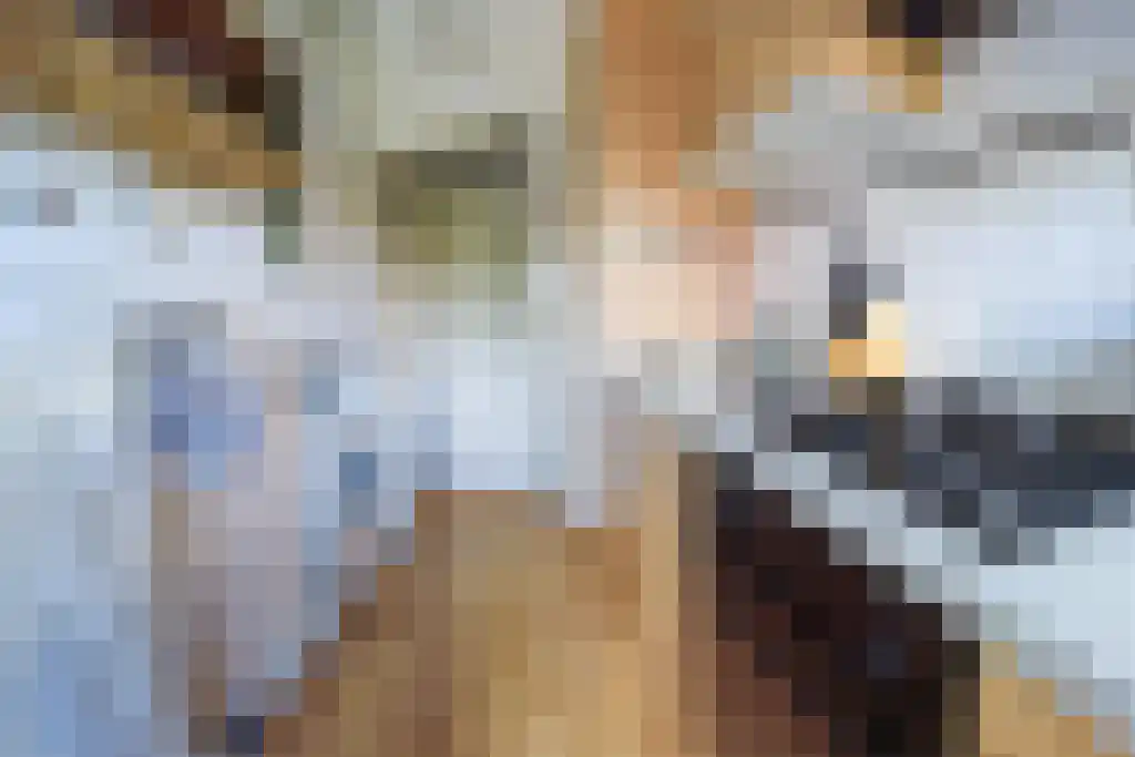 Zaagmuldersweg 548 Groningen thumbnail 9