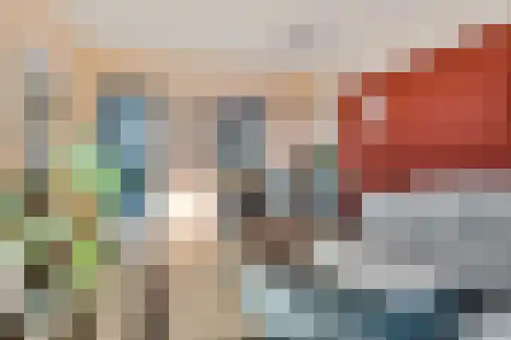 Zaagmuldersweg 552 Groningen thumbnail 13