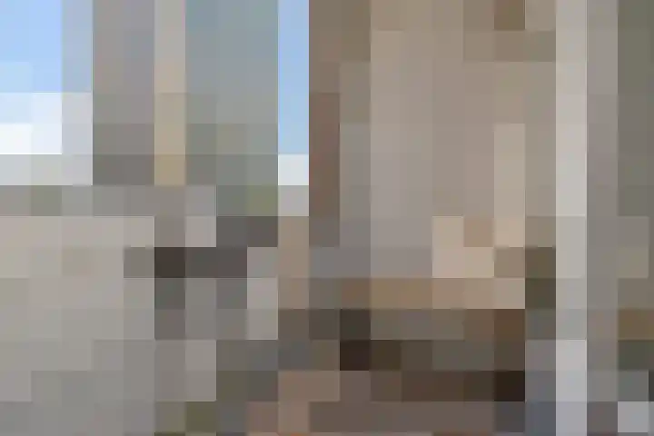 Zaagmuldersweg 552 Groningen thumbnail 25