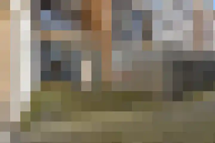 Zaagmuldersweg 552 Groningen thumbnail 28