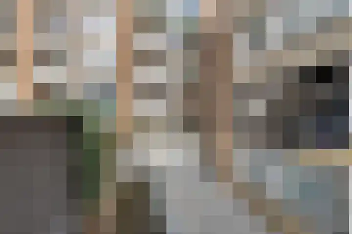 Zaagmuldersweg 552 Groningen thumbnail 29