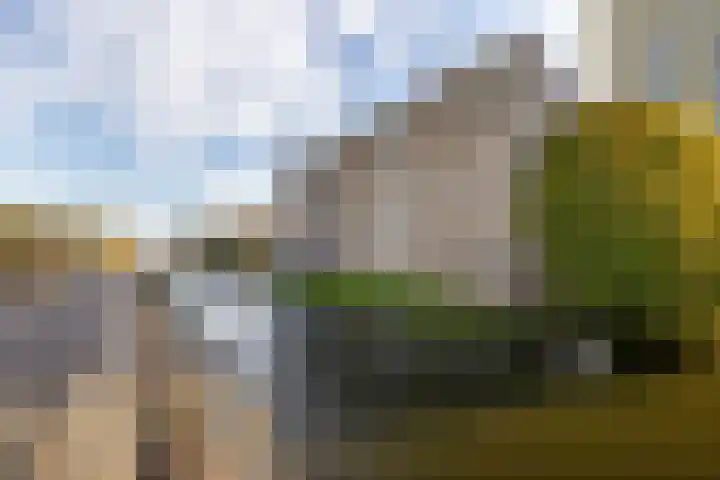 Zaagmuldersweg 552 Groningen thumbnail 33