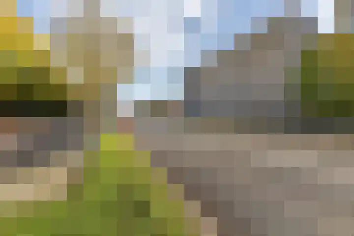 Zaagmuldersweg 552 Groningen thumbnail 35