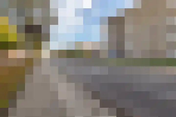 Zaagmuldersweg 552 Groningen thumbnail 36