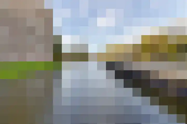 Zaagmuldersweg 552 Groningen thumbnail 37