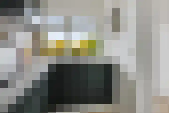 Zaagmuldersweg 552 Groningen thumbnail 4