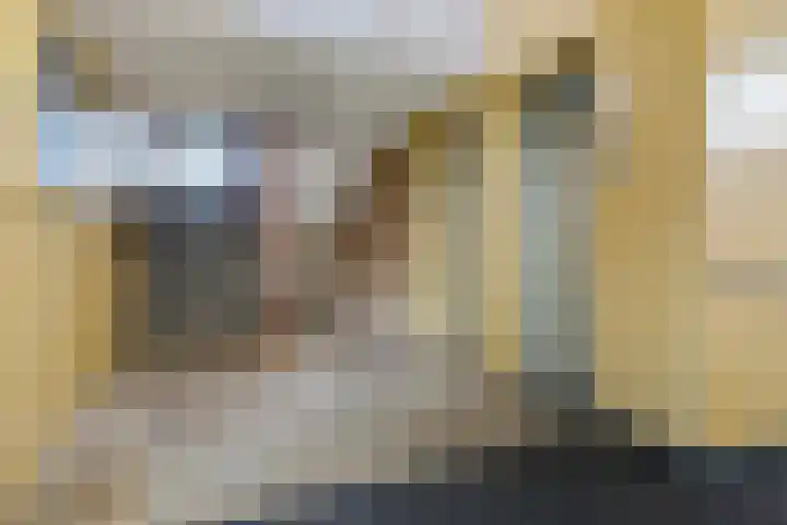 Zaagmuldersweg 552 Groningen thumbnail 8
