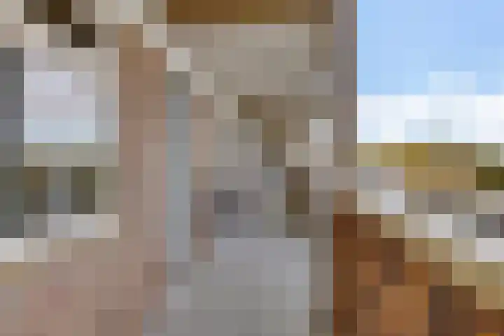 Zaagmuldersweg 552 Groningen thumbnail 9
