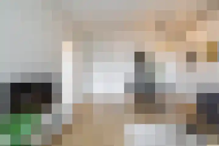 Zaagmuldersweg 554 Groningen thumbnail 16