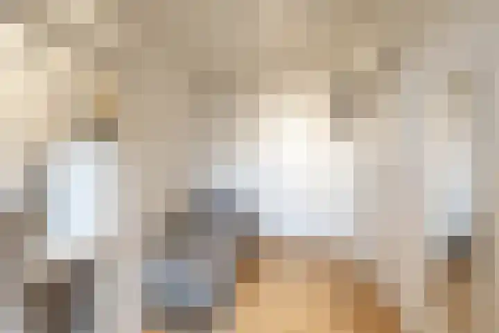 Zaagmuldersweg 554 Groningen thumbnail 20