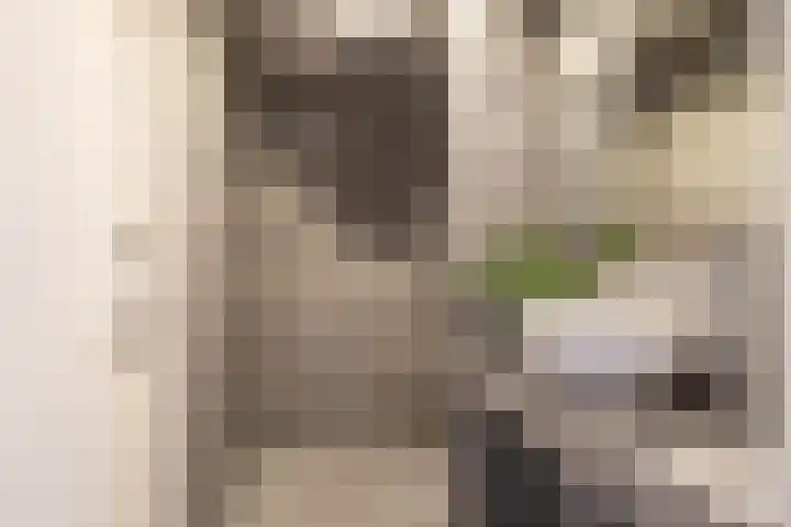 Zaagmuldersweg 554 Groningen thumbnail 21