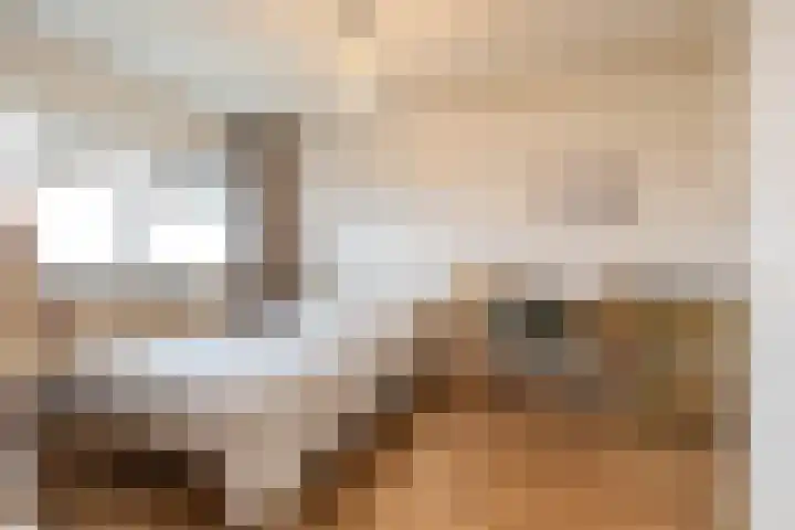 Zaagmuldersweg 554 Groningen thumbnail 25