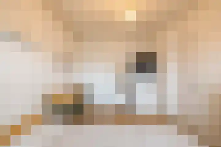 Zaagmuldersweg 554 Groningen thumbnail 27